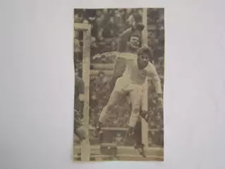 Вырезка. Футбол. Фото 686.