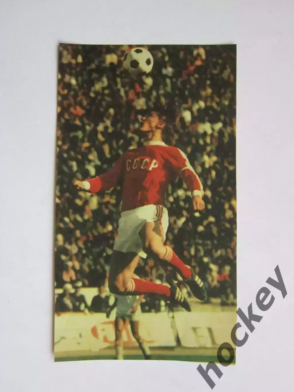 Вырезка. Футбол. Фото 690.