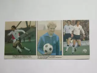 Вырезка. Футбол. Фото 694. 3 фото