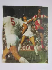 Вырезка. Футбол. Фото 696.