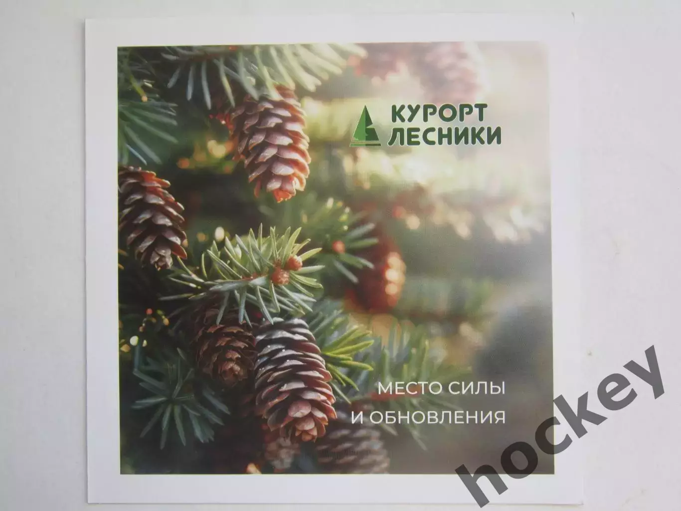 Курганская область. Семейный курорт Лесники. Место силы и обновления