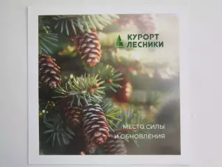 Курганская область. Семейный курорт Лесники. Место силы и обновления