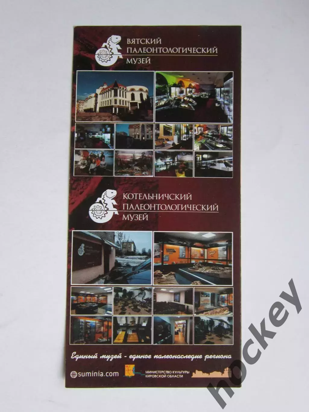 Киров. Вятский Палеонтологический музей, Котельничский Палеонтологический музей