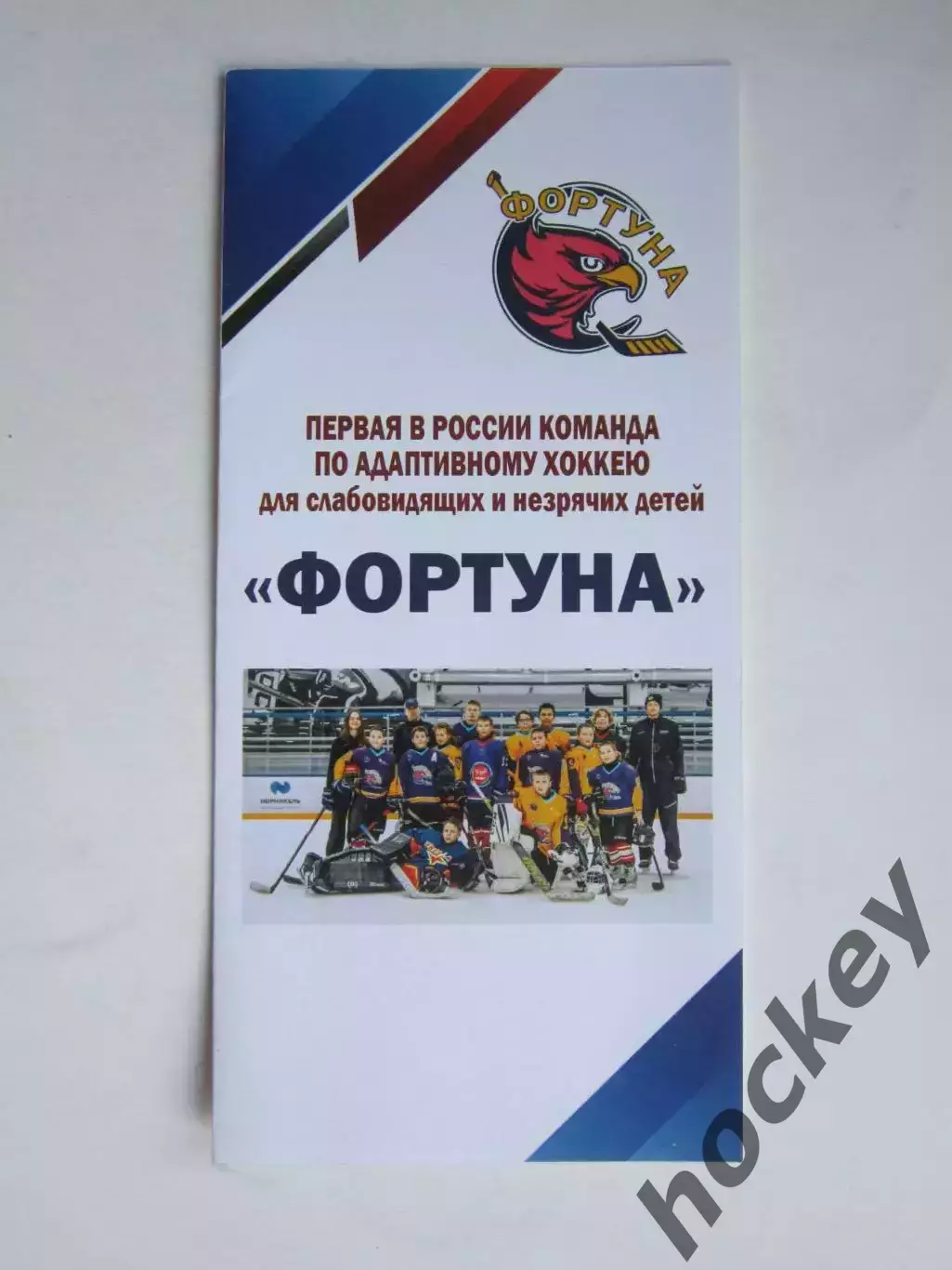 Фортуна. Первая в России команда по адаптивному хоккею (6 стр.)