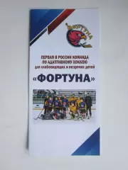 Фортуна. Первая в России команда по адаптивному хоккею (6 стр.)