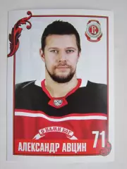 Александр Авцин (Витязь). Фотооткрытка. Размер 10 на 15