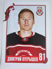 Дмитрий Кугрышев (Витязь). Фотооткрытка. Размер 10 на 15