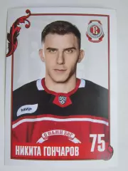 Никита Гончаров (Витязь). Фотооткрытка. Размер 10 на 15