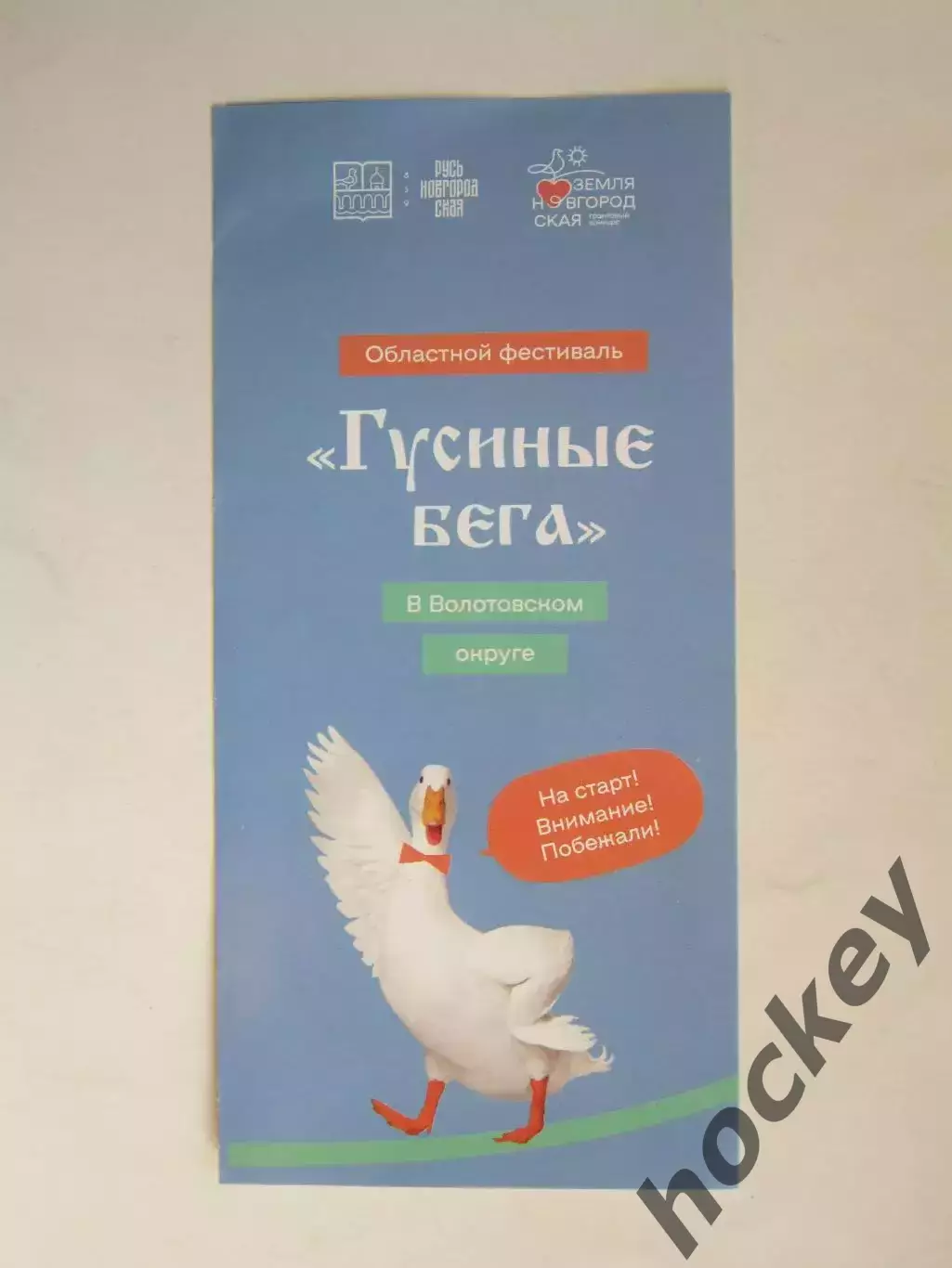 Волотовский округ (Новгородская область). Гусиные бега. Областной фестиваль