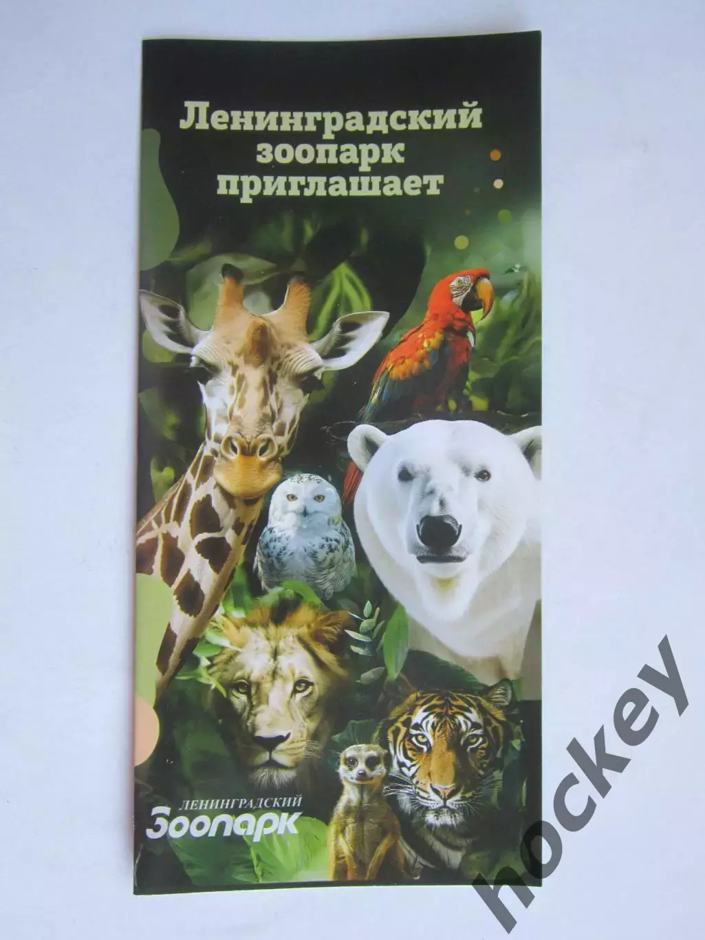 Ленинградский зоопарк приглашает. Карта зоопарка
