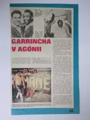 Статья. Пеле и Гарринча