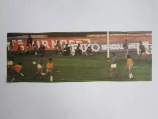 Вырезка. Футбол. Фото 737.