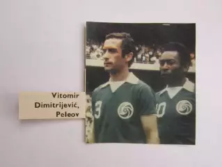Вырезка. Футбол. Фото 746.