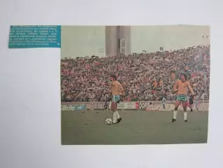 Вырезка. Футбол. Фото 768.