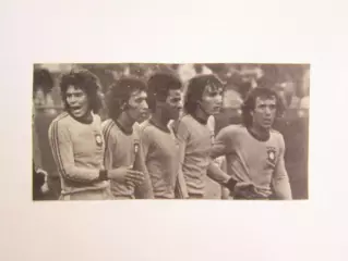 Вырезка. Футбол. Фото 770.