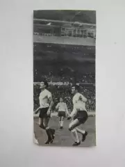 Вырезка. Футбол. Фото 810.