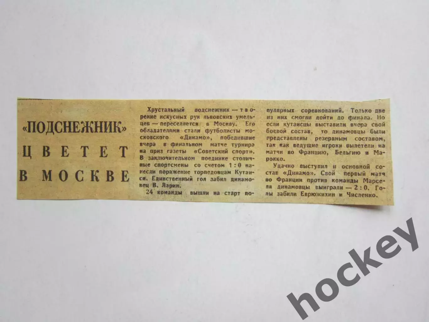 Вырезка. Новости. Подснежник цветет в Москве