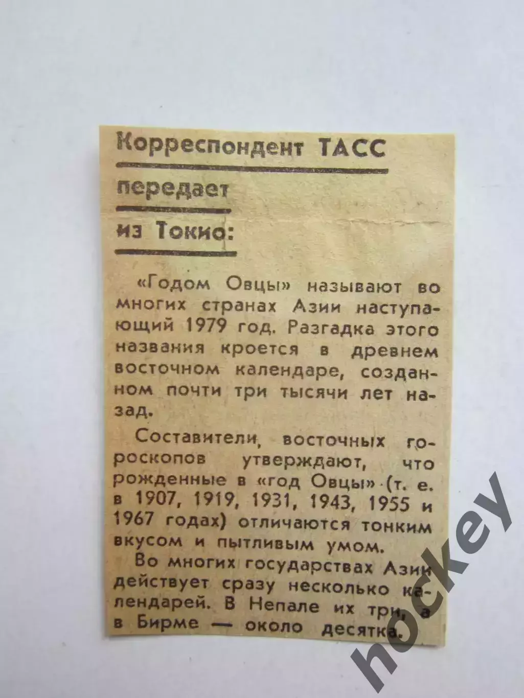 Про год Овцы. Вырезка из газеты