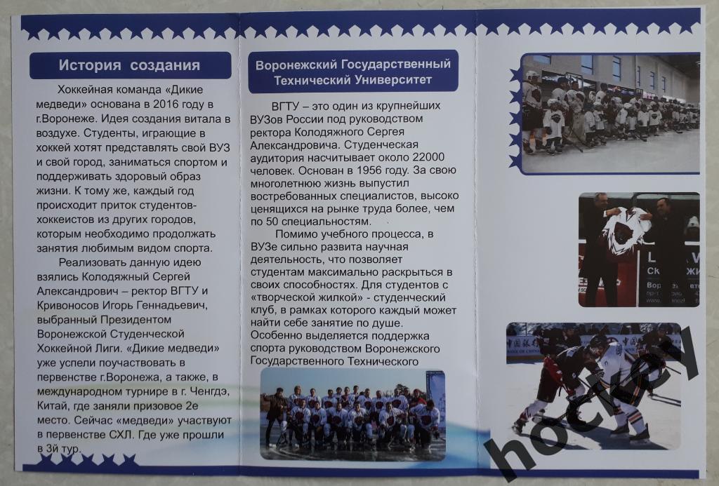 Хоккейная команда ВГТУ Дикие медведи (Воронежская Студенческая Хоккейная Лига) 1