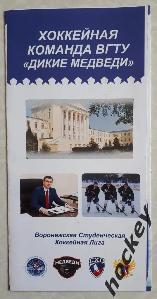 Хоккейная команда ВГТУ Дикие медведи (Воронежская Студенческая Хоккейная Лига)
