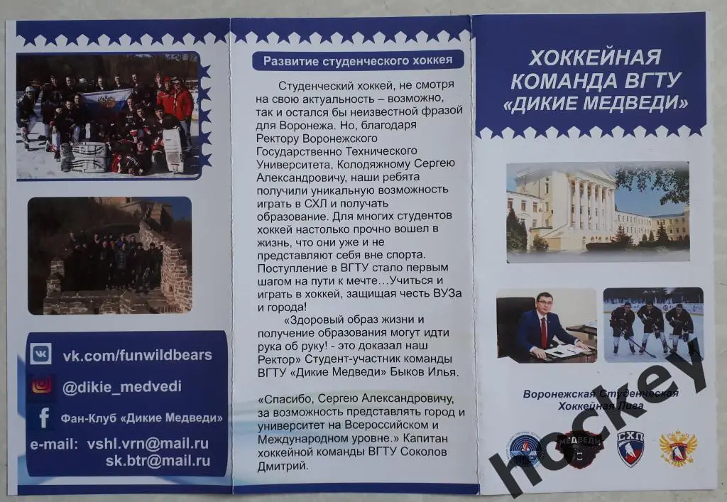 Хоккейная команда ВГТУ Дикие медведи (Воронежская Студенческая Хоккейная Лига) 2