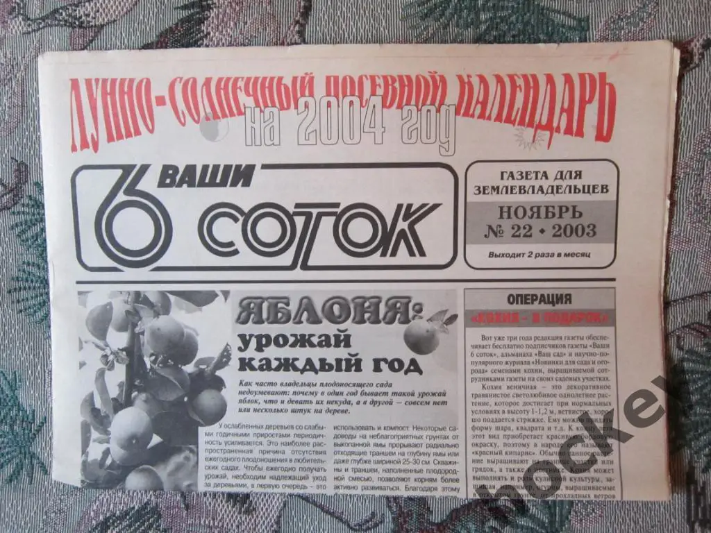 Газета Ваши 6 соток. № 22.2003 (ноябрь)