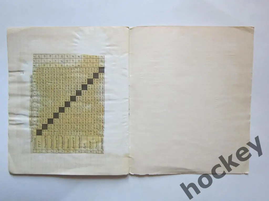 Чемпионат СССР по хоккею с мячом (1975/1976 гг.) 5