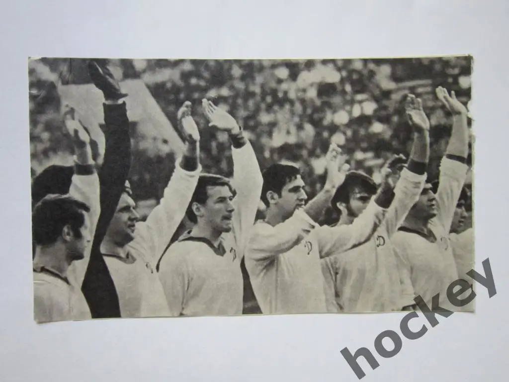 Вырезка. Футбол. Фото 1