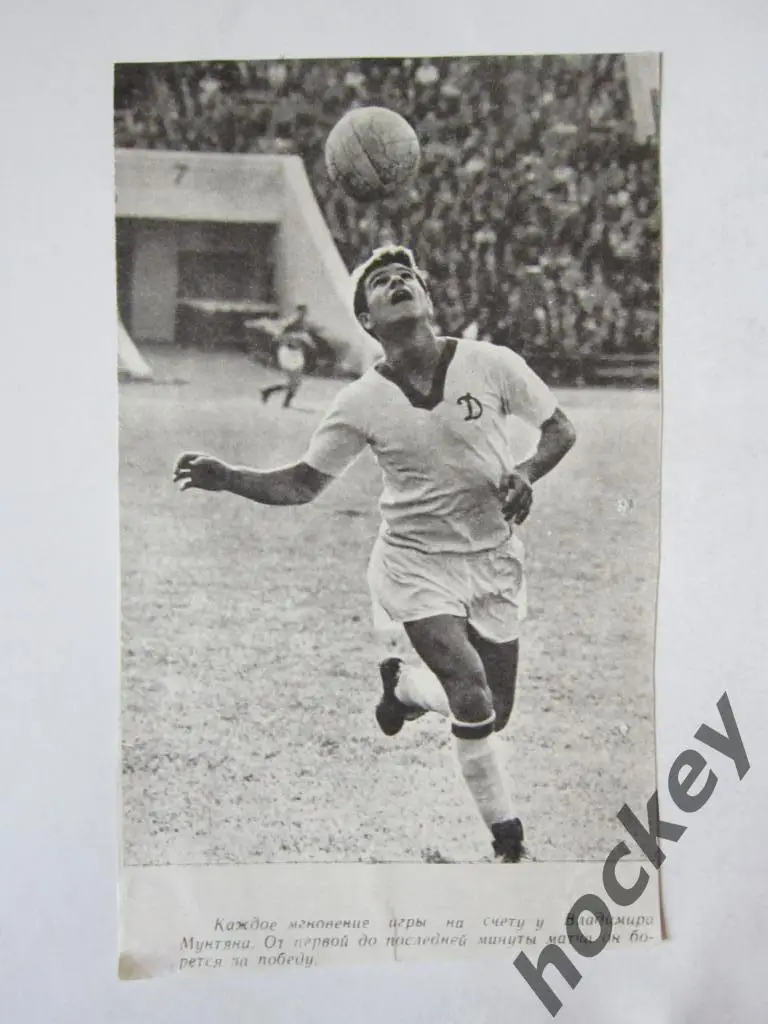 Вырезка. Футбол. Фото 6