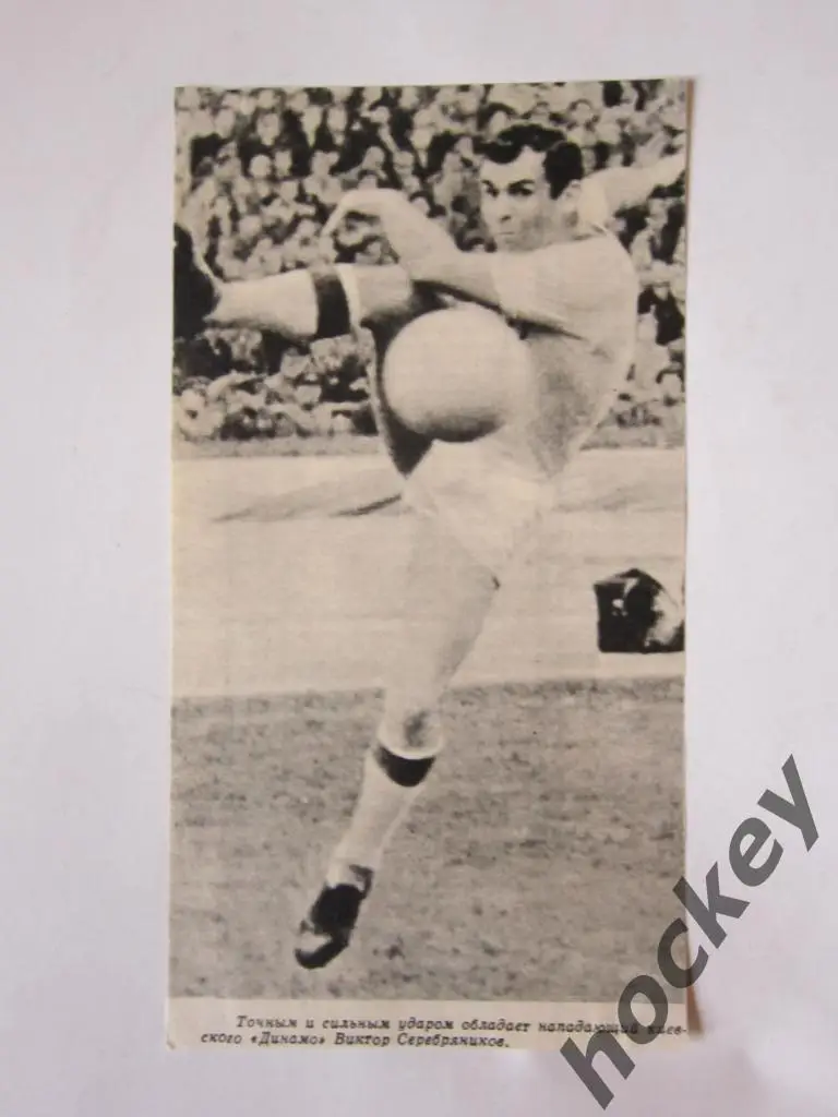 Вырезка. Футбол. Фото 8