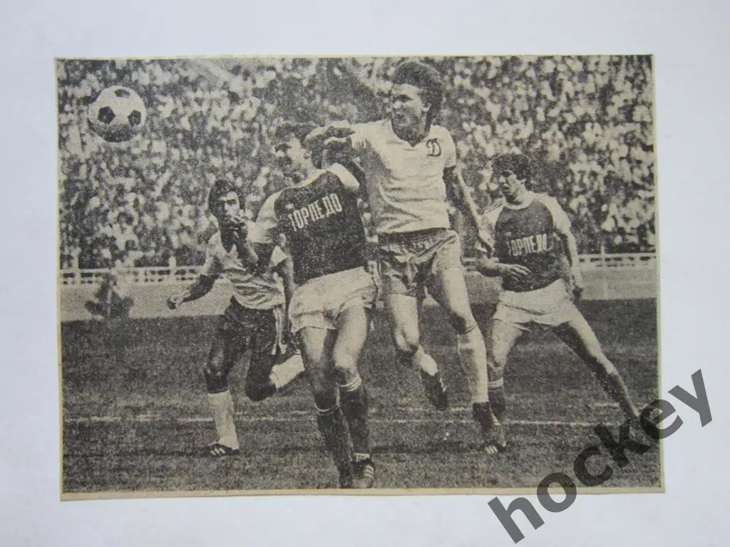 Вырезка. Футбол. Фото 18