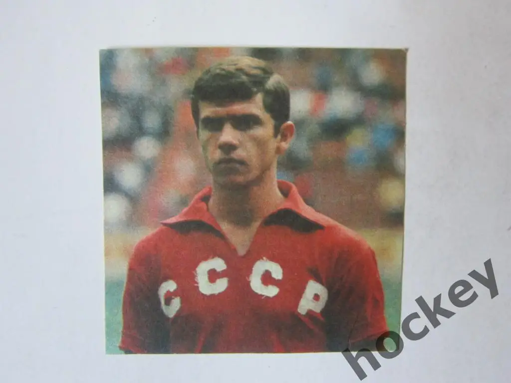 Вырезка. Футбол. Фото 26