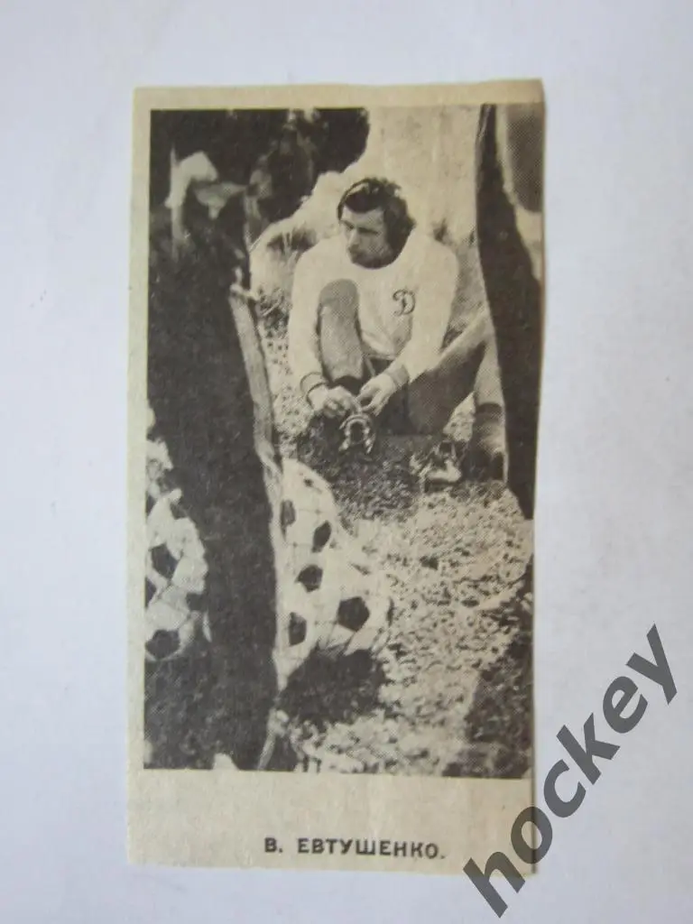 Вырезка. Футбол. Фото 41