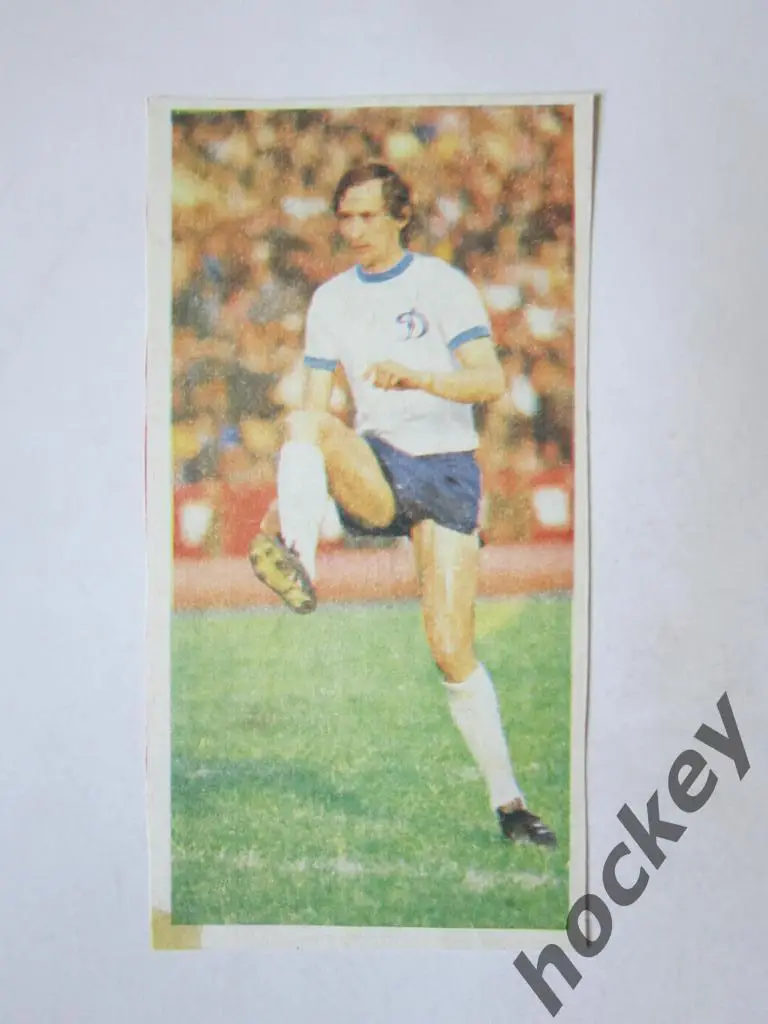 Вырезка. Футбол. Фото 42