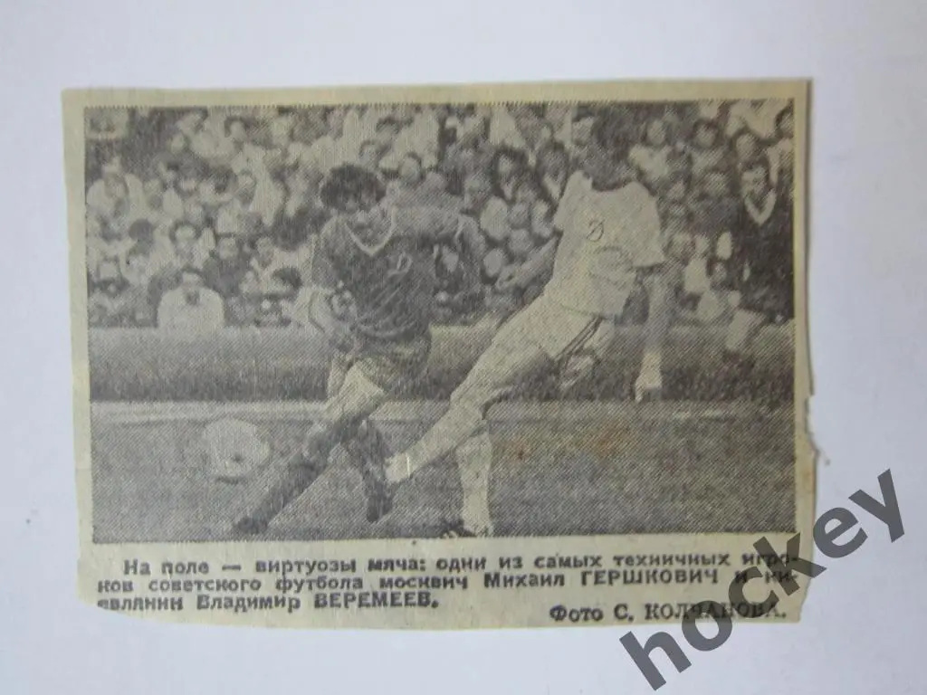 Вырезка. Футбол. Фото 44