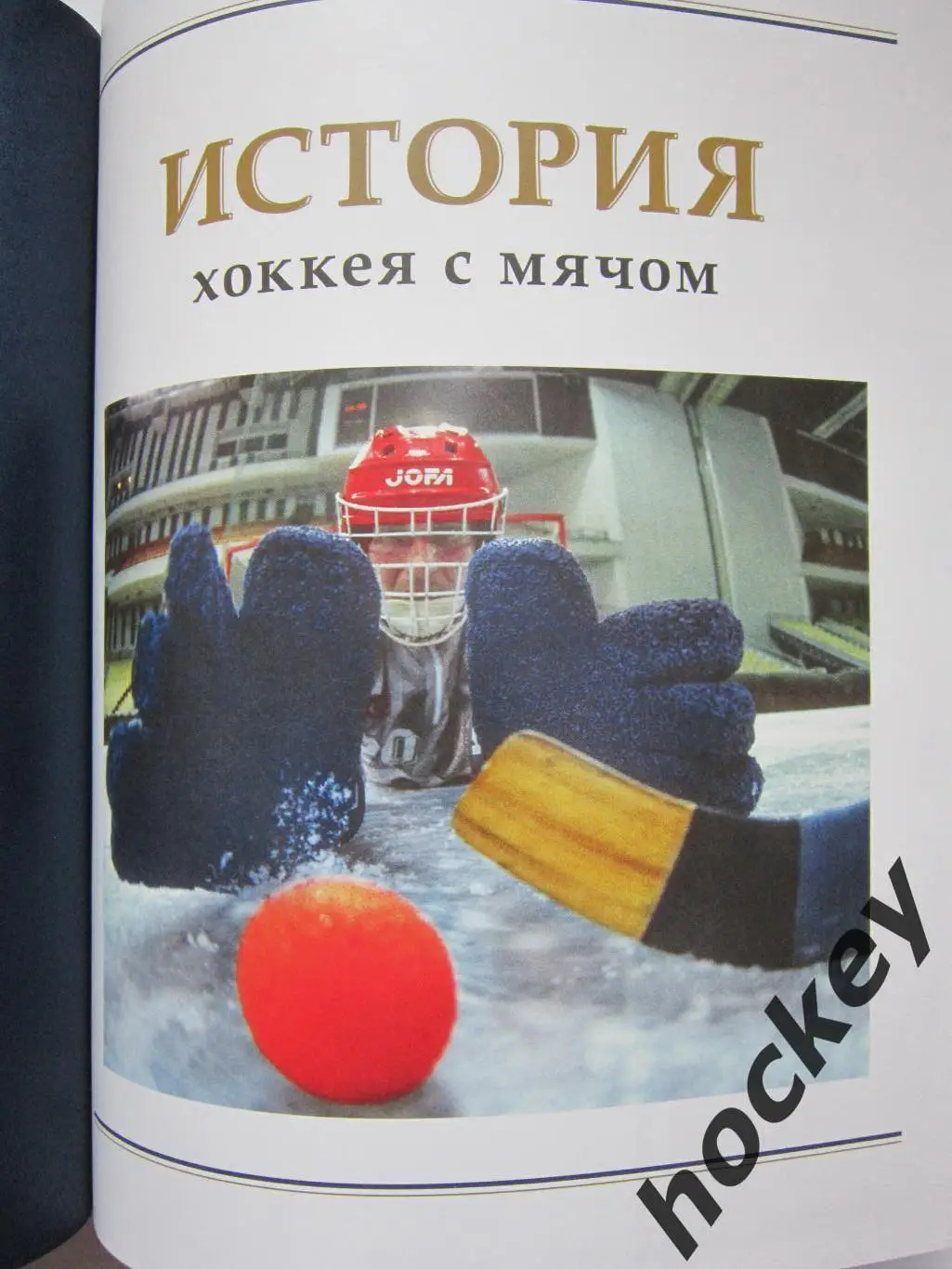 А.Сироткина Атака из глубины. История хоккея с мячом. 2015 год 1