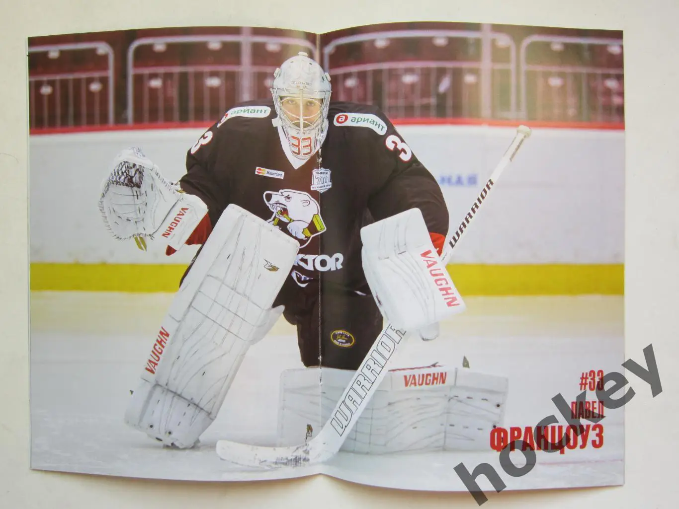 Трактор Челябинск - Ак Барс Казань 8.11.2016. Постер Павел Францоуз 1