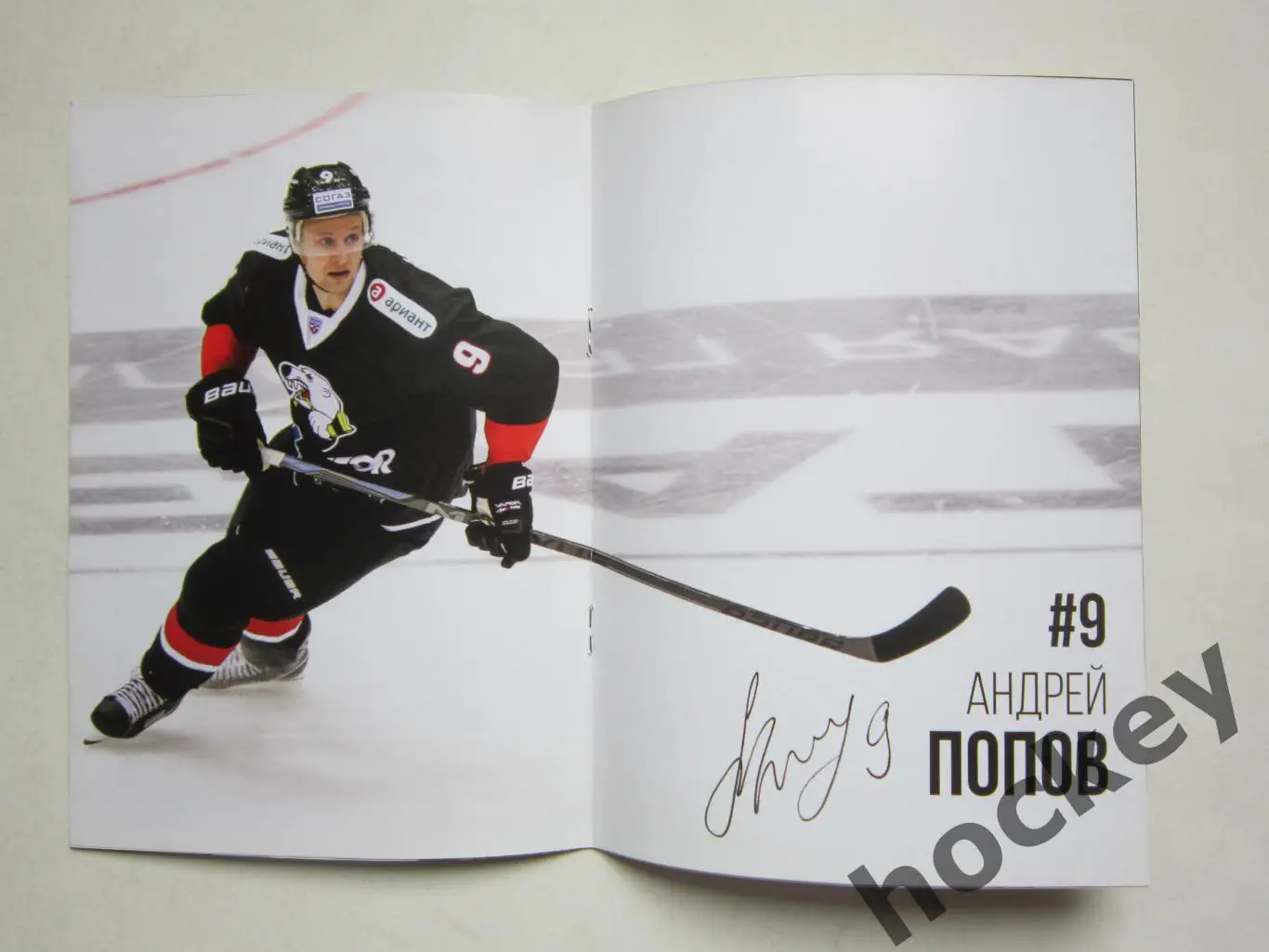 Трактор Челябинск - Нефтехимик Нижнекамск 12.10.2015. Постер Андрей Попов 1