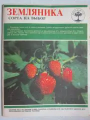 Земляника. Сорта на выбор