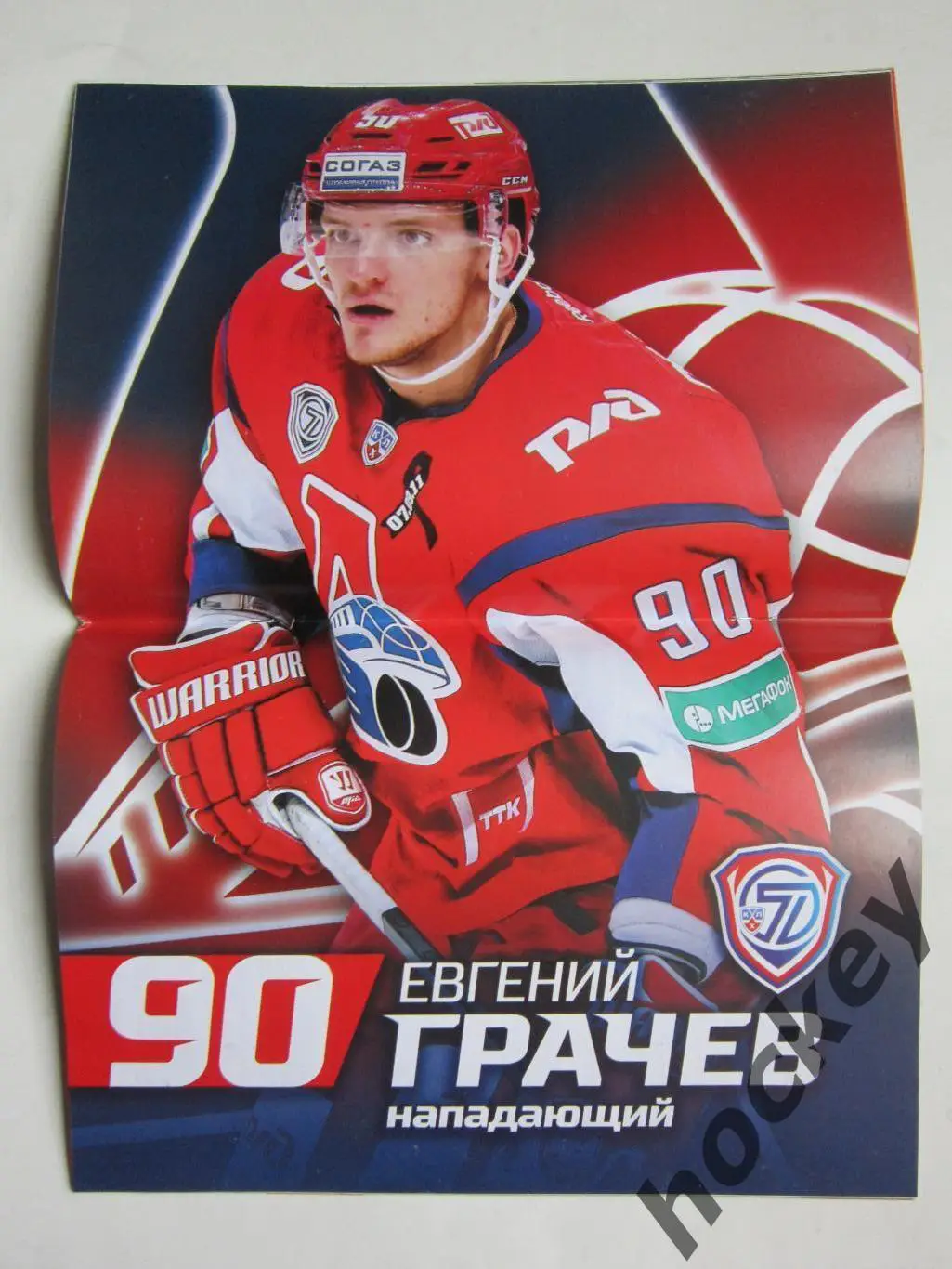 Локомотив Ярославль - ХК Сочи 15.02.2015. Постер Евгений Грачев 1