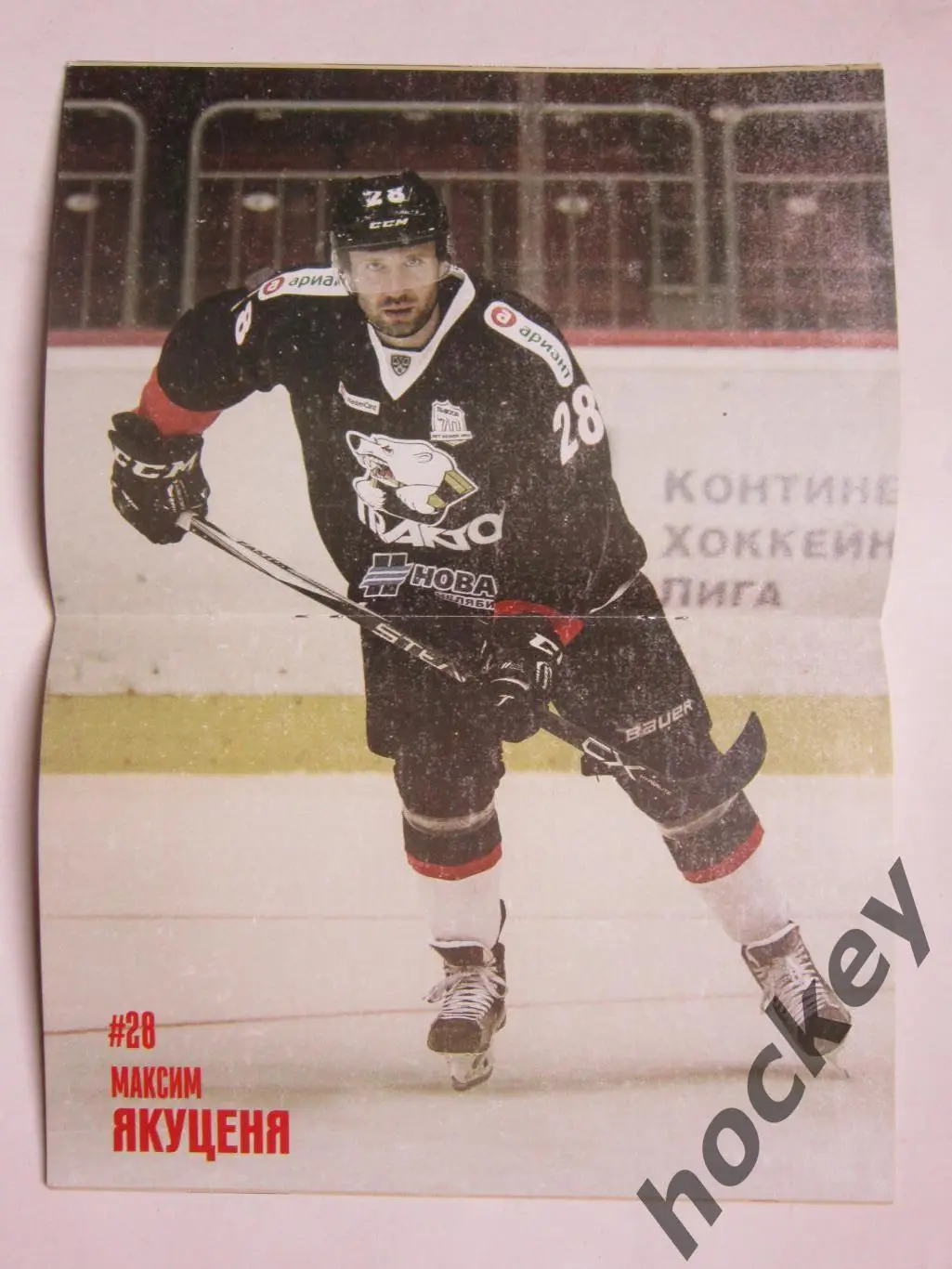 Трактор Челябинск - Торпедо Нижний Новгород 10.01.2017. Постер Максим Якуценя 1