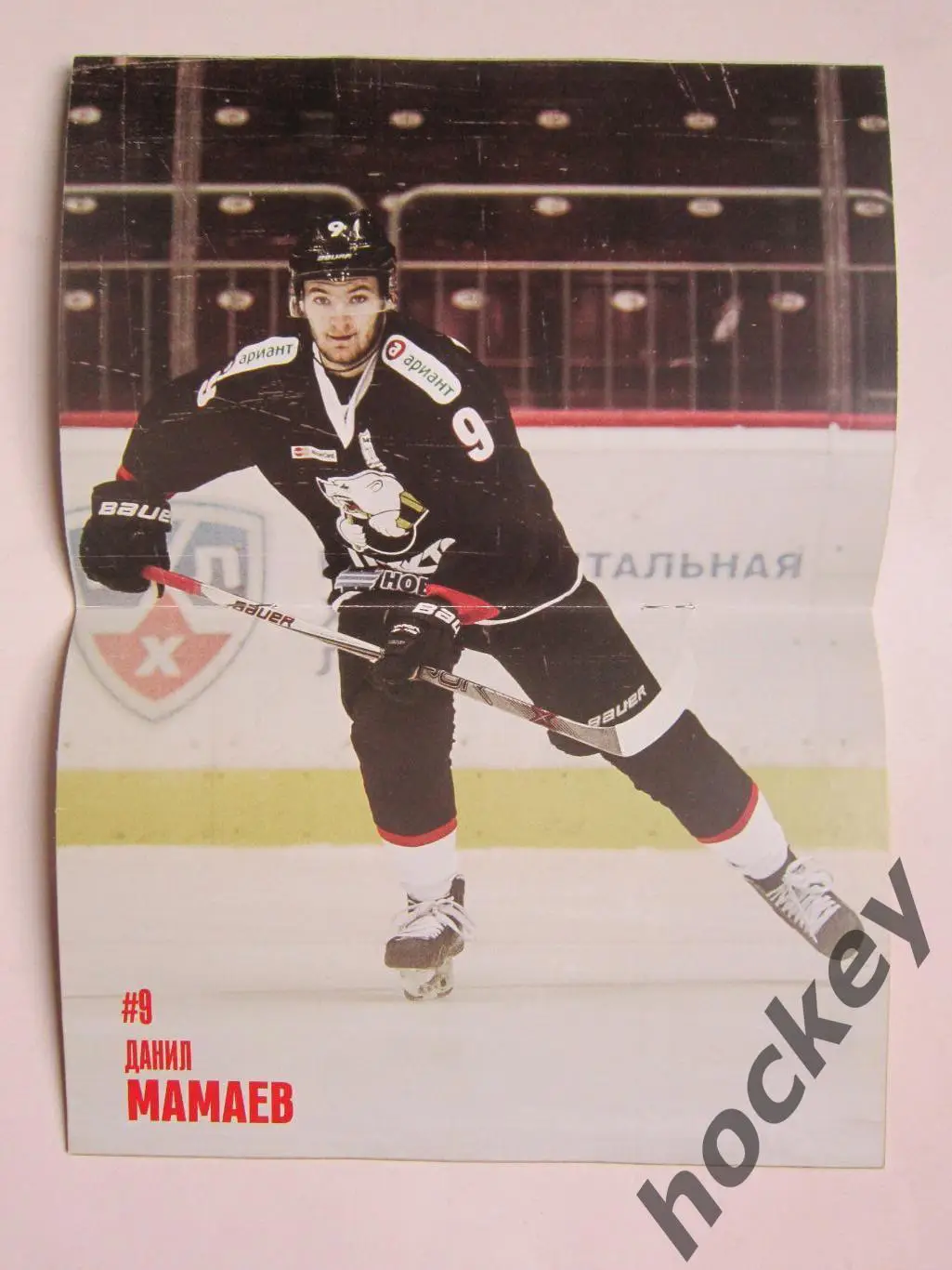 Трактор Челябинск - Северсталь Череповец 3.02.2017. Постер Данил Мамаев 1