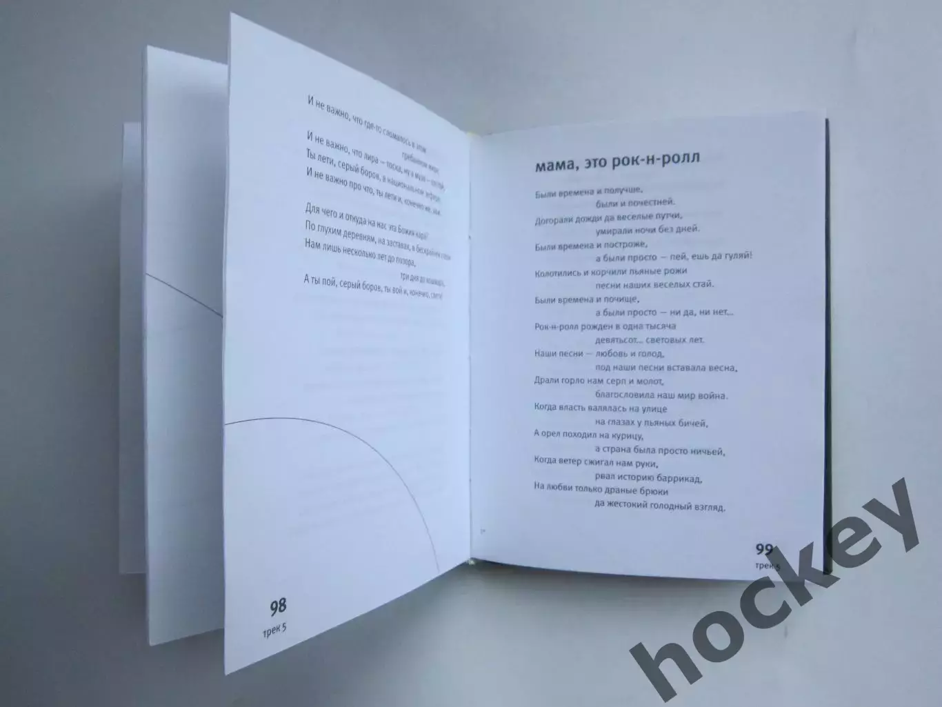 Юрий Шевчук Сольник. Альбом стихов 4