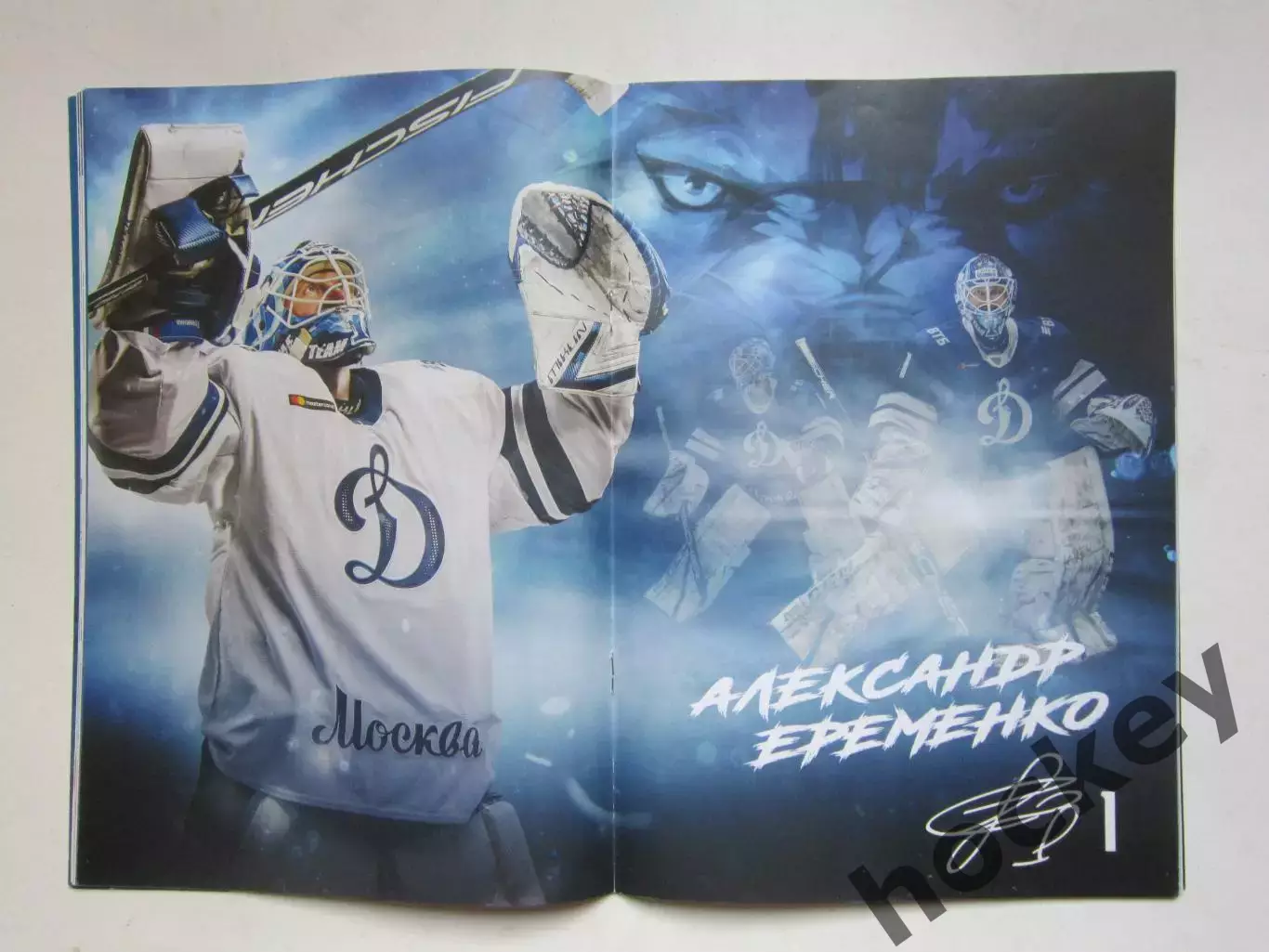 Динамо Москва - Локомотив Ярославль, Амур 26,28.11.2020. Постер Ал-др Еременко 1