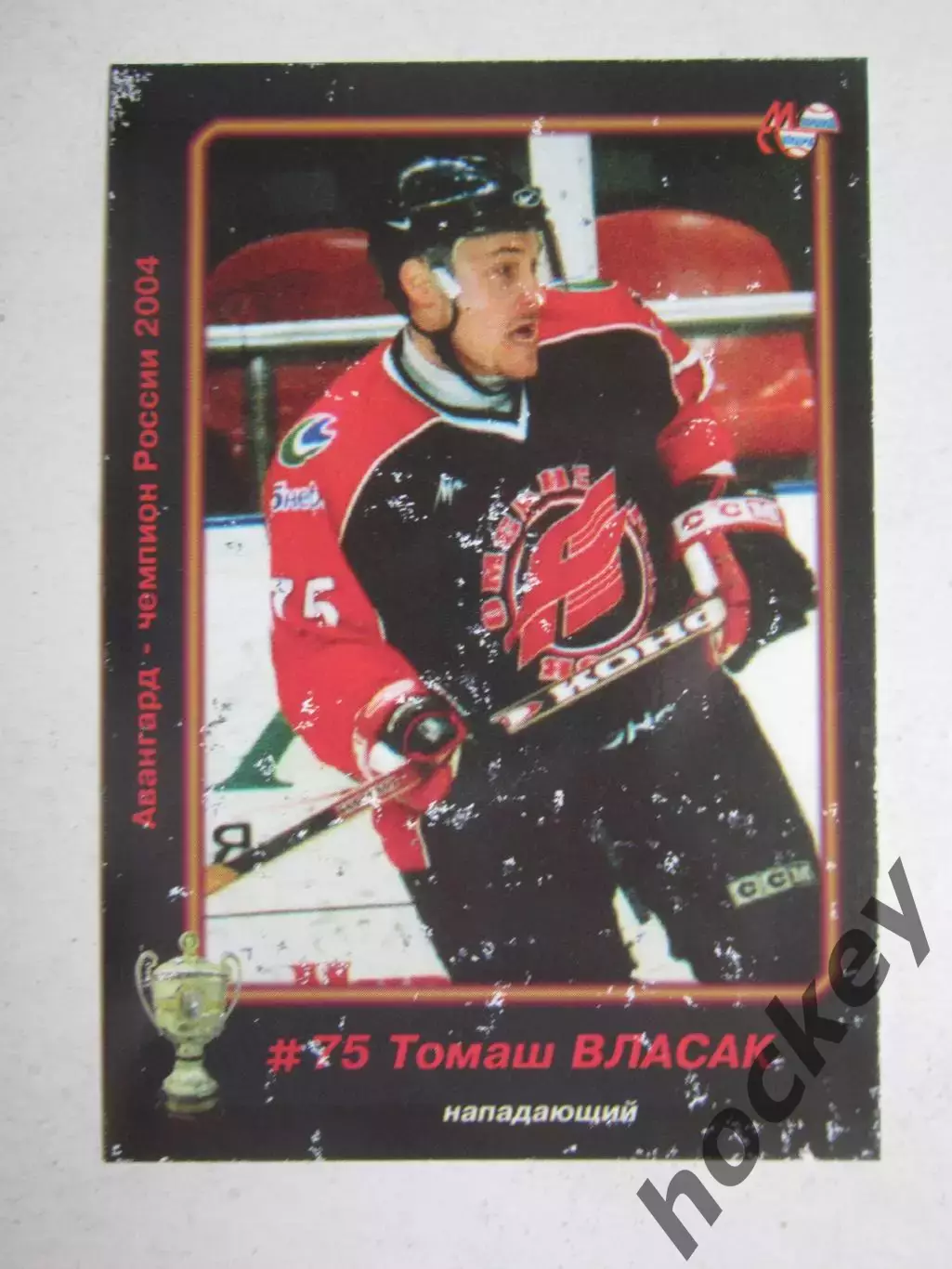 Томаш Власак - нападающий. Серия Авангард - чемпион России 2004