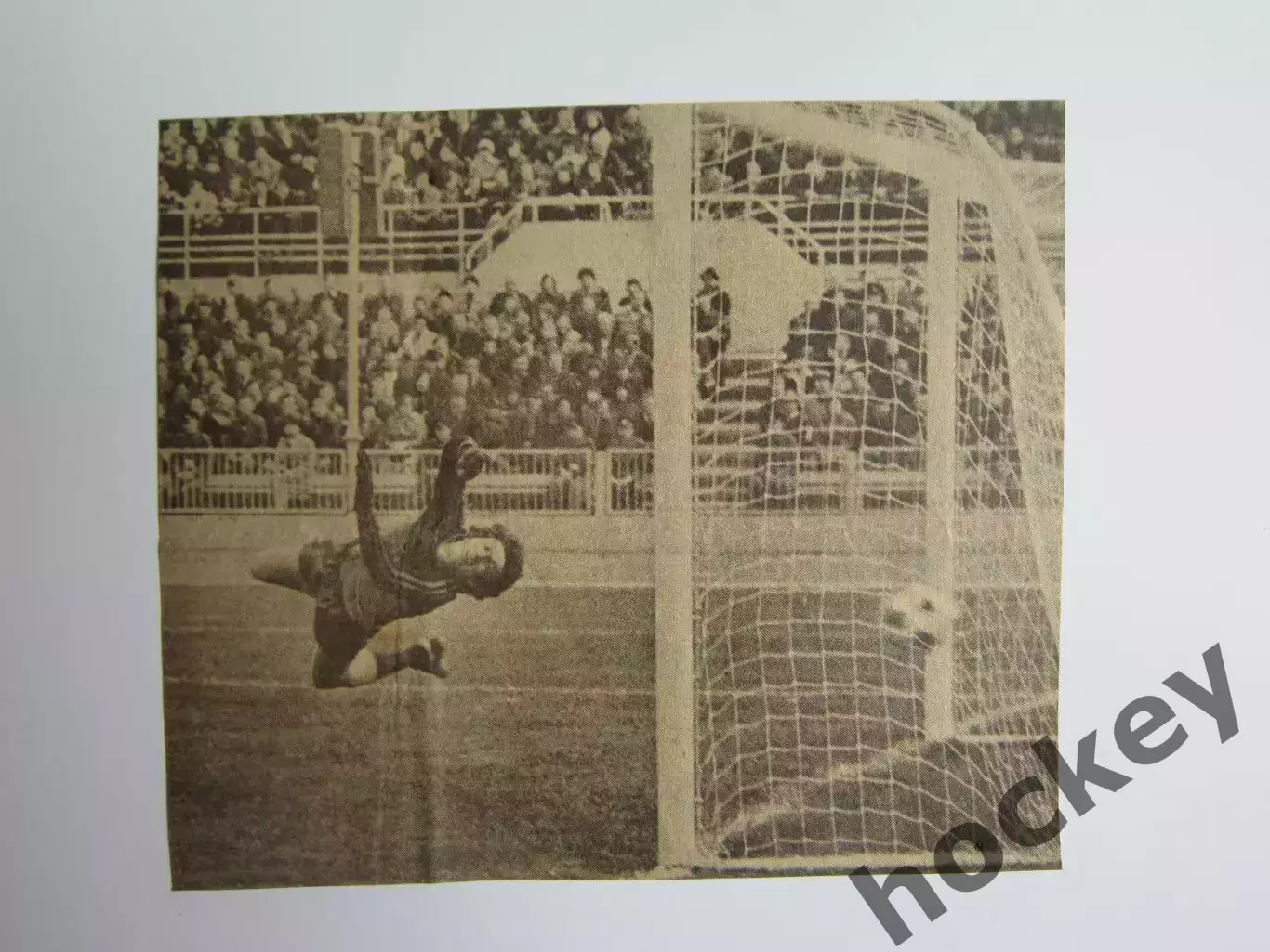 Вырезка. Футбол. Фото 8