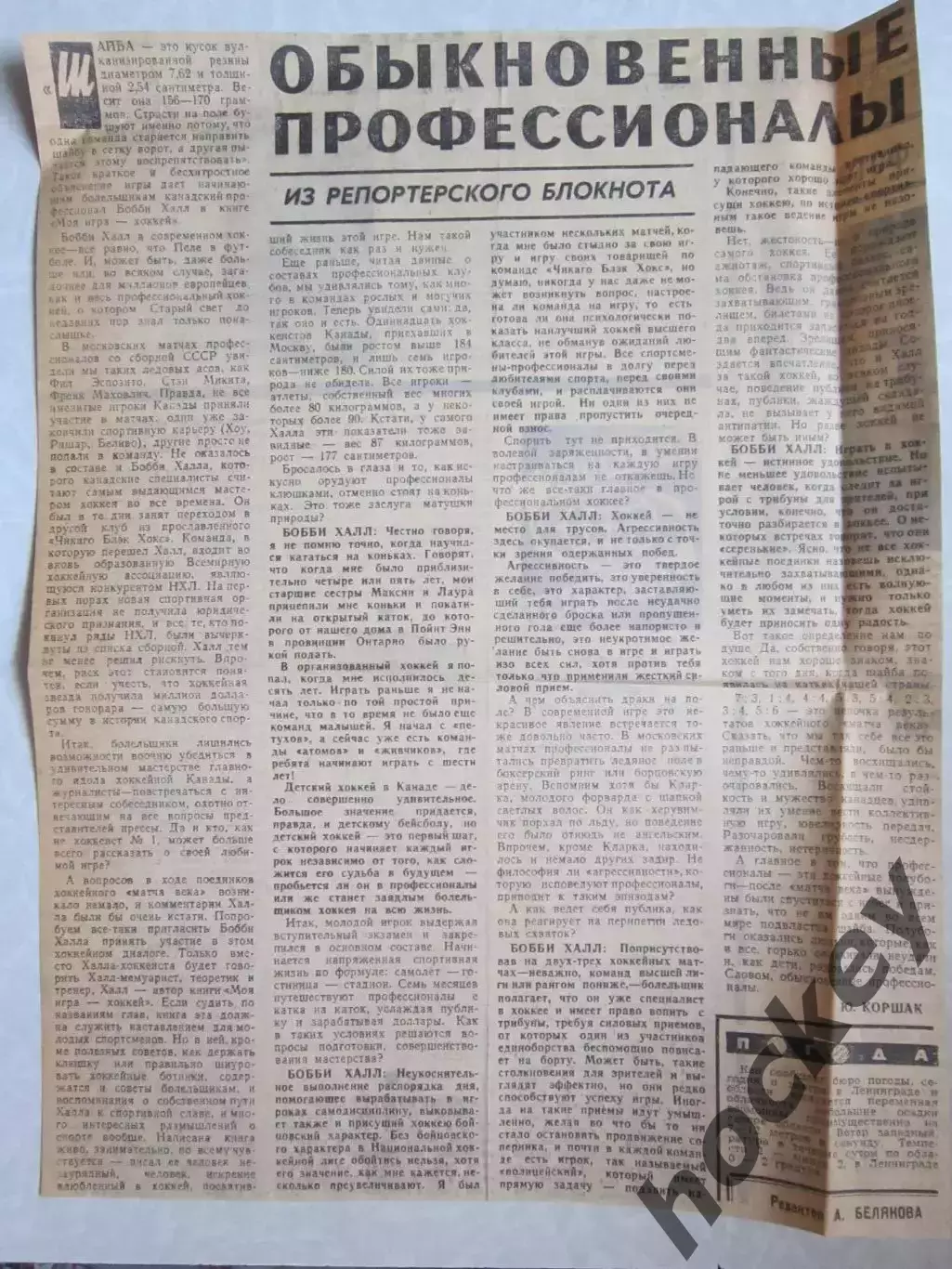 Вырезка. Хоккей. Обыкновенные профессионалы. Из репортерского блокнота