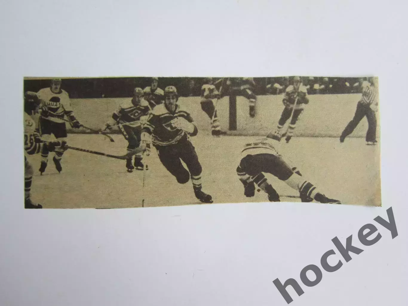 Вырезка. Хоккей. Фото 2