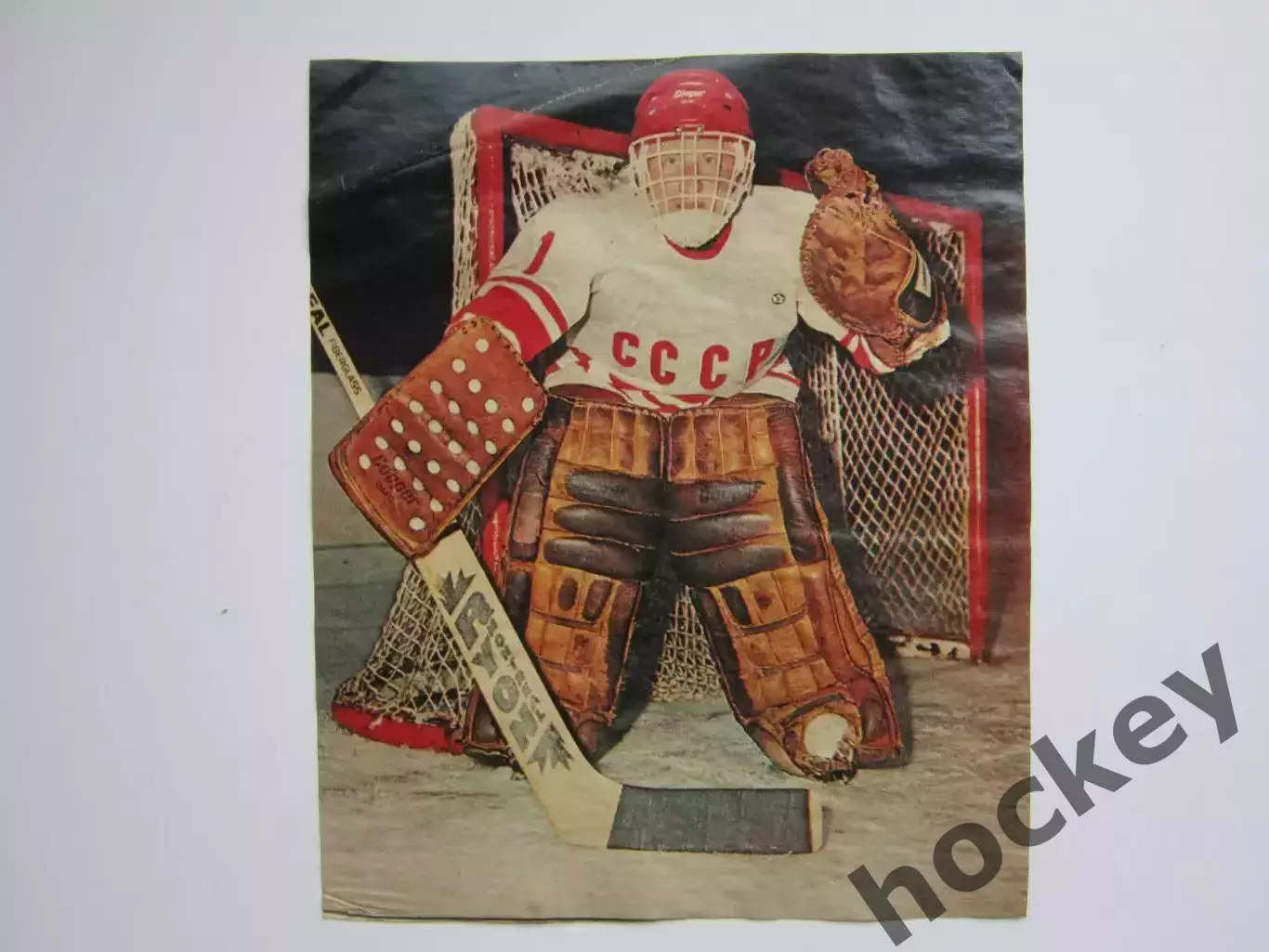 Вырезка. Хоккей. Фото 3