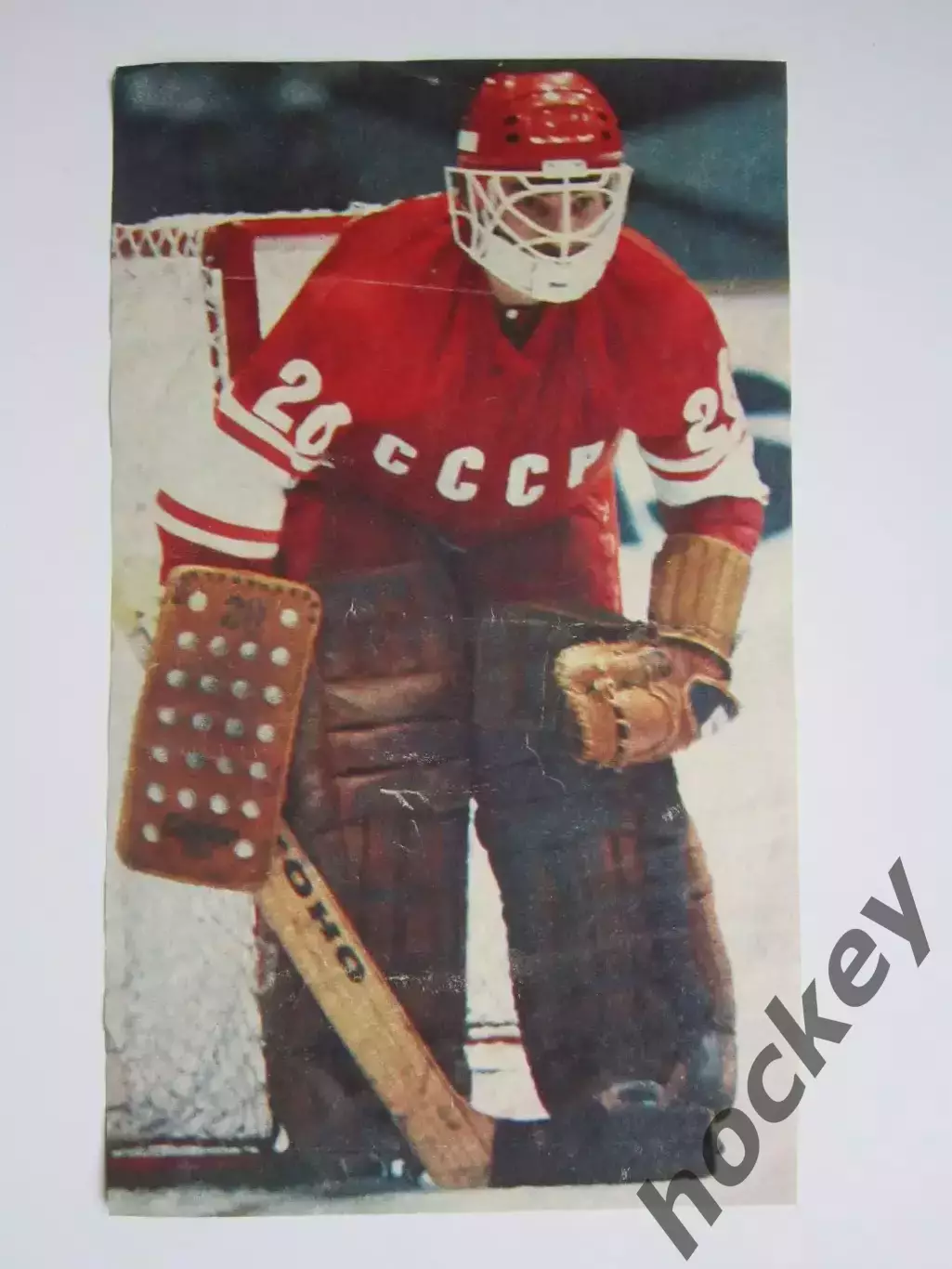 Вырезка. Хоккей. Фото 4